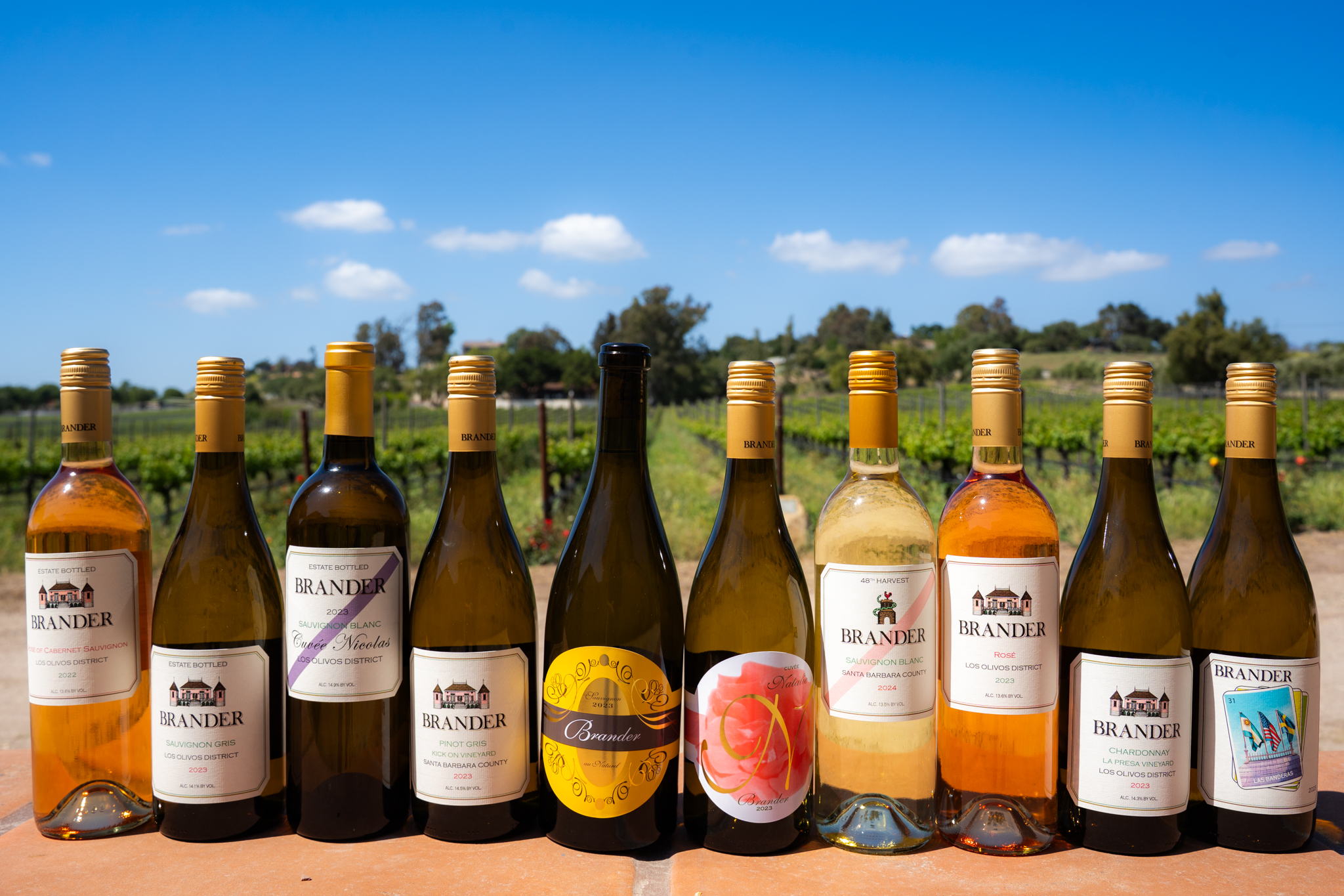 White Wine in a line2 (1)